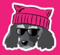A cool poodle in sunglasses and a pussy hat